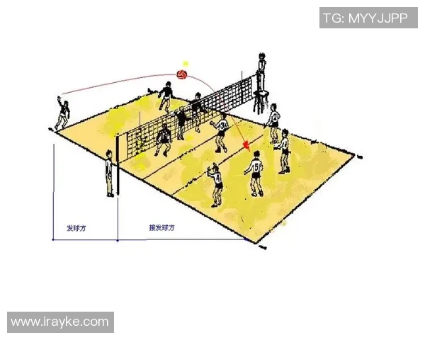武汉排球队区域防守策略解析与深度剖析排球战术的核心要素