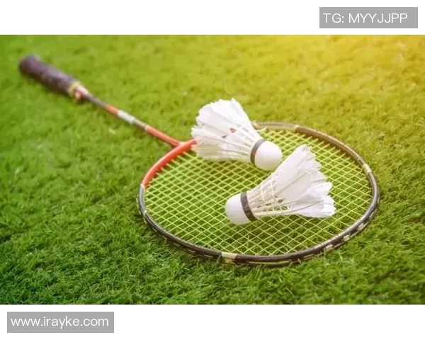 深圳羽毛球队与南京羽毛球队赛后复盘分析灵活性对比及战术启示